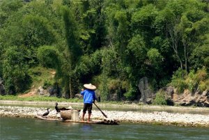 Kormoranfischer am Fluss Li bei Guilin in China (piqs.de ID: 89907da97c8c6b9de12b01ba5778c737)